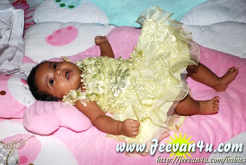 Evlyn Baby Gallery